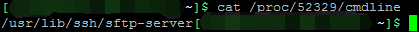 cmdline的内容